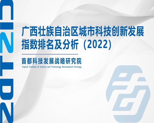 www美女日逼【成果发布】广西壮族自治区城市科技创新发展指数排名及分析（2022）